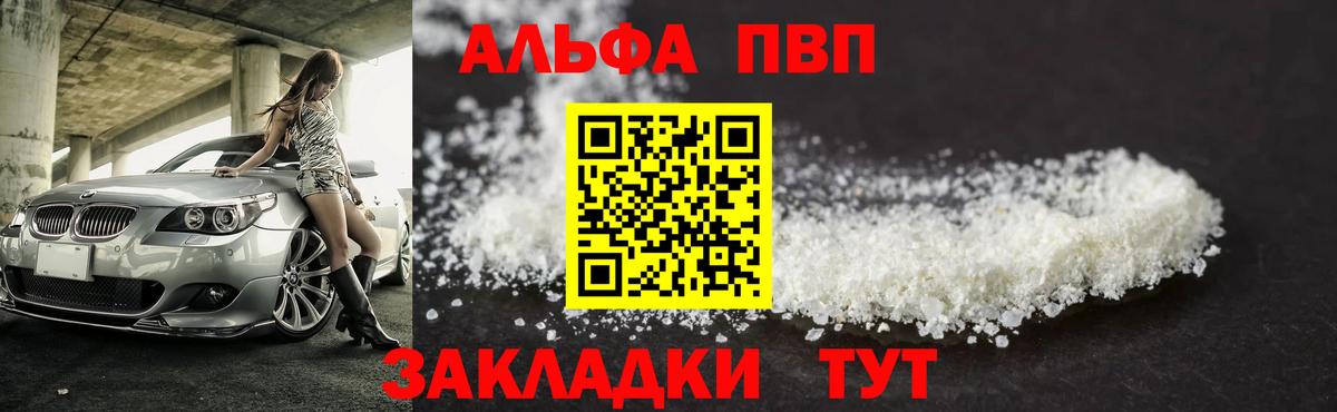 Альфа ПВП СК КРИС Аргун