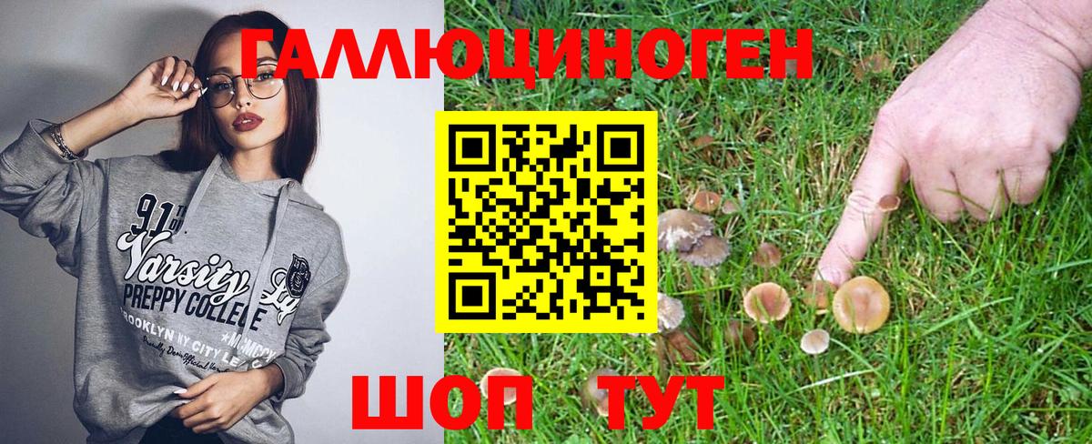 Псилоцибиновые грибы прущие грибы Аргун