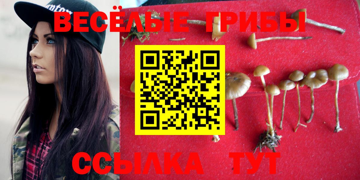 Аргун  Псилоцибиновые грибы Magic Shrooms  Вход с VPN 